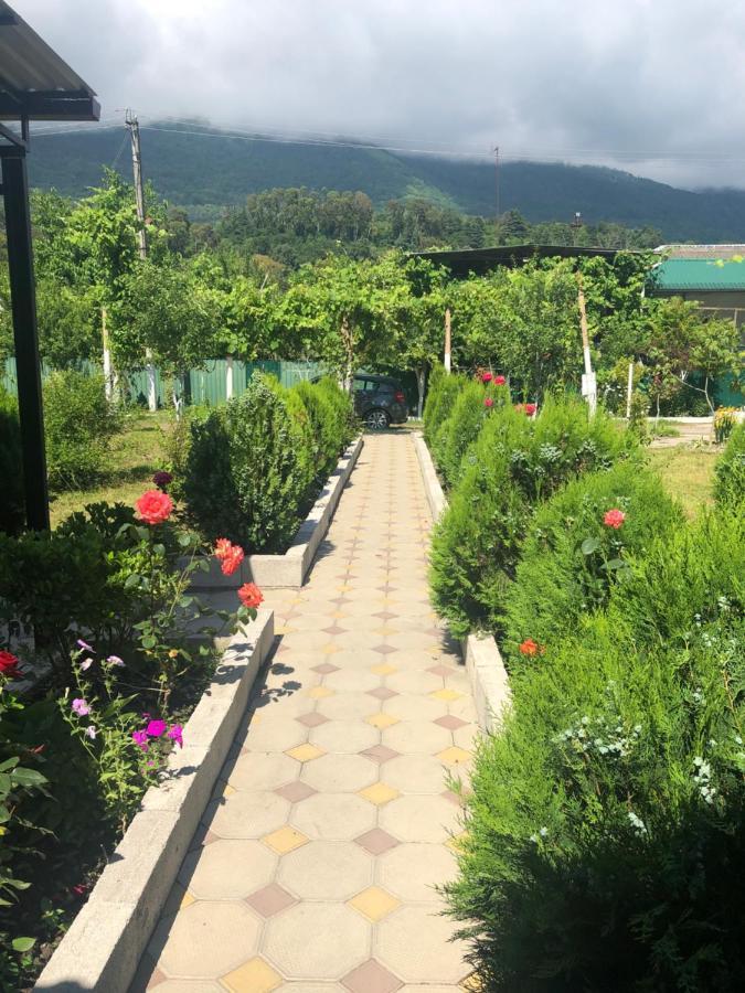 Inn Aхчыпсы Gagra Exterior foto