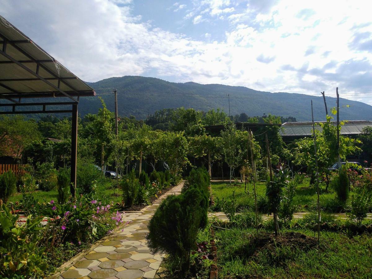 Inn Aхчыпсы Gagra Exterior foto